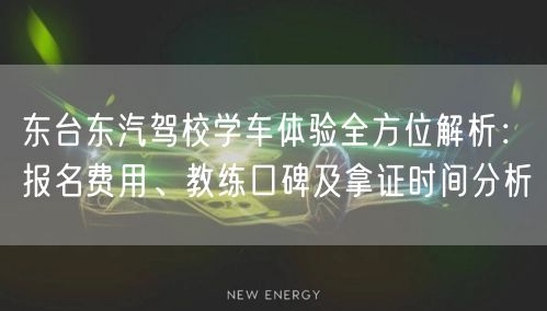 东台东汽驾校学车体验全方位解析：报名费用、教练口碑及拿证时间分析