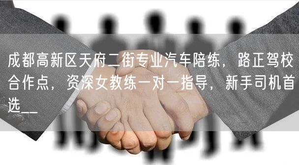 成都高新区天府二街专业汽车陪练，路正驾校合作点，资深女教练一对一指导，新手司机首选__