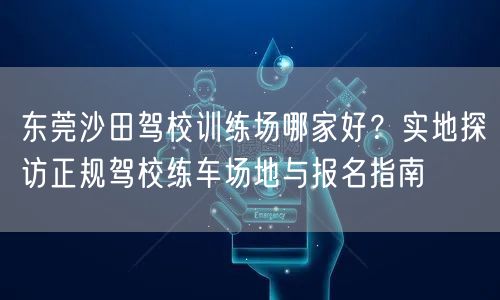 东莞沙田驾校训练场哪家好？实地探访正规驾校练车场地与报名指南