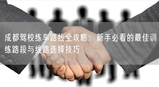成都驾校练车路线全攻略：新手必看的最佳训练路段与线路选择技巧