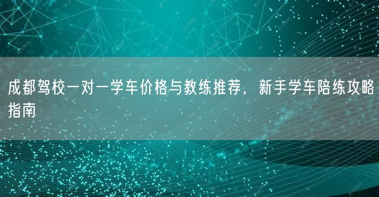 成都驾校一对一学车价格与教练推荐，新手学车陪练攻略指南
