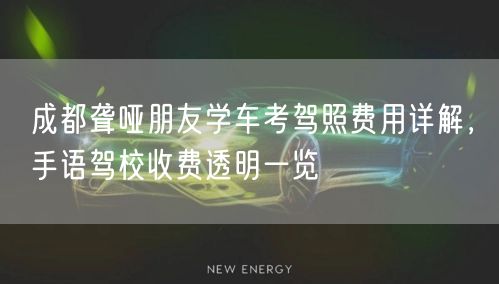 成都聋哑朋友学车考驾照费用详解，手语驾校收费透明一览