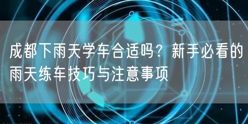 成都下雨天学车合适吗？新手必看的雨天练车技巧与注意事项