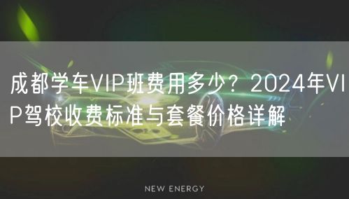 成都学车VIP班费用多少？2024年VIP驾校收费标准与套餐价格详解