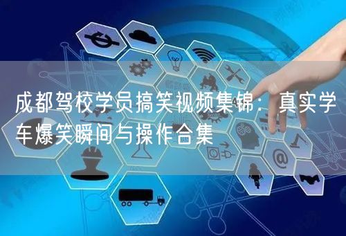 成都驾校学员搞笑视频集锦：真实学车爆笑瞬间与操作合集