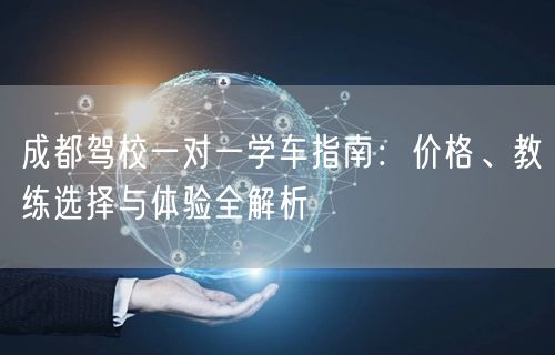 成都驾校一对一学车指南：价格、教练选择与体验全解析