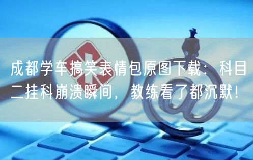 成都学车搞笑表情包原图下载：科目二挂科崩溃瞬间，教练看了都沉默！