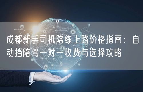 成都新手司机陪练上路价格指南：自动挡陪驾一对一收费与选择攻略