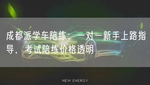 成都派学车陪练：一对一新手上路指导，考试陪练价格透明
