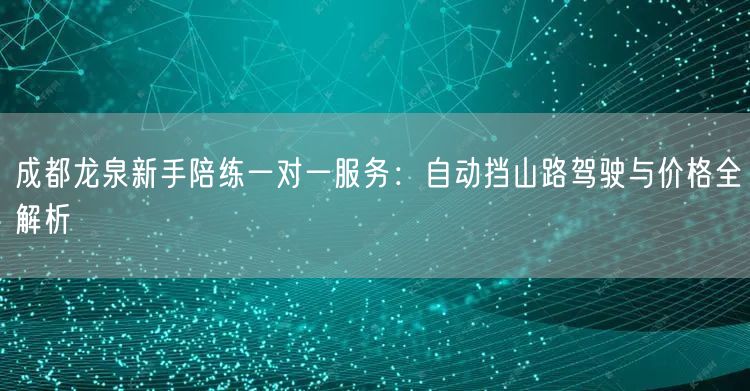 成都龙泉新手陪练一对一服务：自动挡山路驾驶与价格全解析