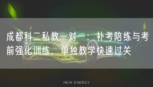 成都科二私教一对一：补考陪练与考前强化训练，单独教学快速过关