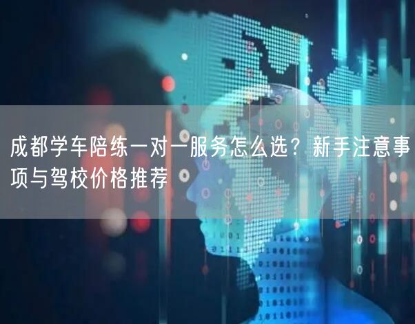 成都学车陪练一对一服务怎么选？新手注意事项与驾校价格推荐