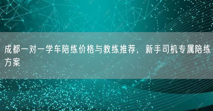 成都一对一学车陪练价格与教练推荐，新手司机专属陪练方案