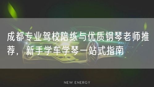 成都专业驾校陪练与优质钢琴老师推荐，新手学车学琴一站式指南
