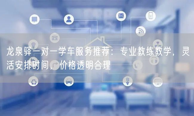 龙泉驿一对一学车服务推荐：专业教练教学，灵活安排时间，价格透明合理