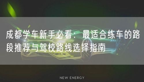 成都学车新手必看：最适合练车的路段推荐与驾校路线选择指南