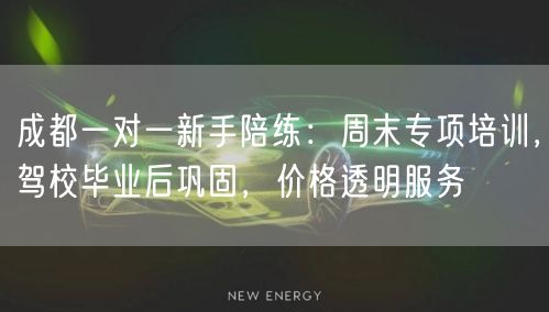 成都一对一新手陪练：周末专项培训，驾校毕业后巩固，价格透明服务