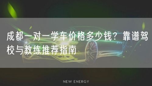 成都一对一学车价格多少钱？靠谱驾校与教练推荐指南