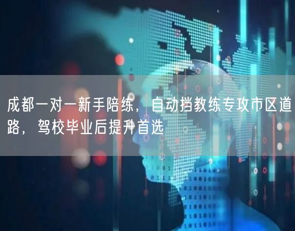 成都一对一新手陪练，自动挡教练专攻市区道路，驾校毕业后提升首选